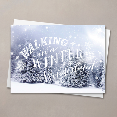 Winter Wonderland Walking
