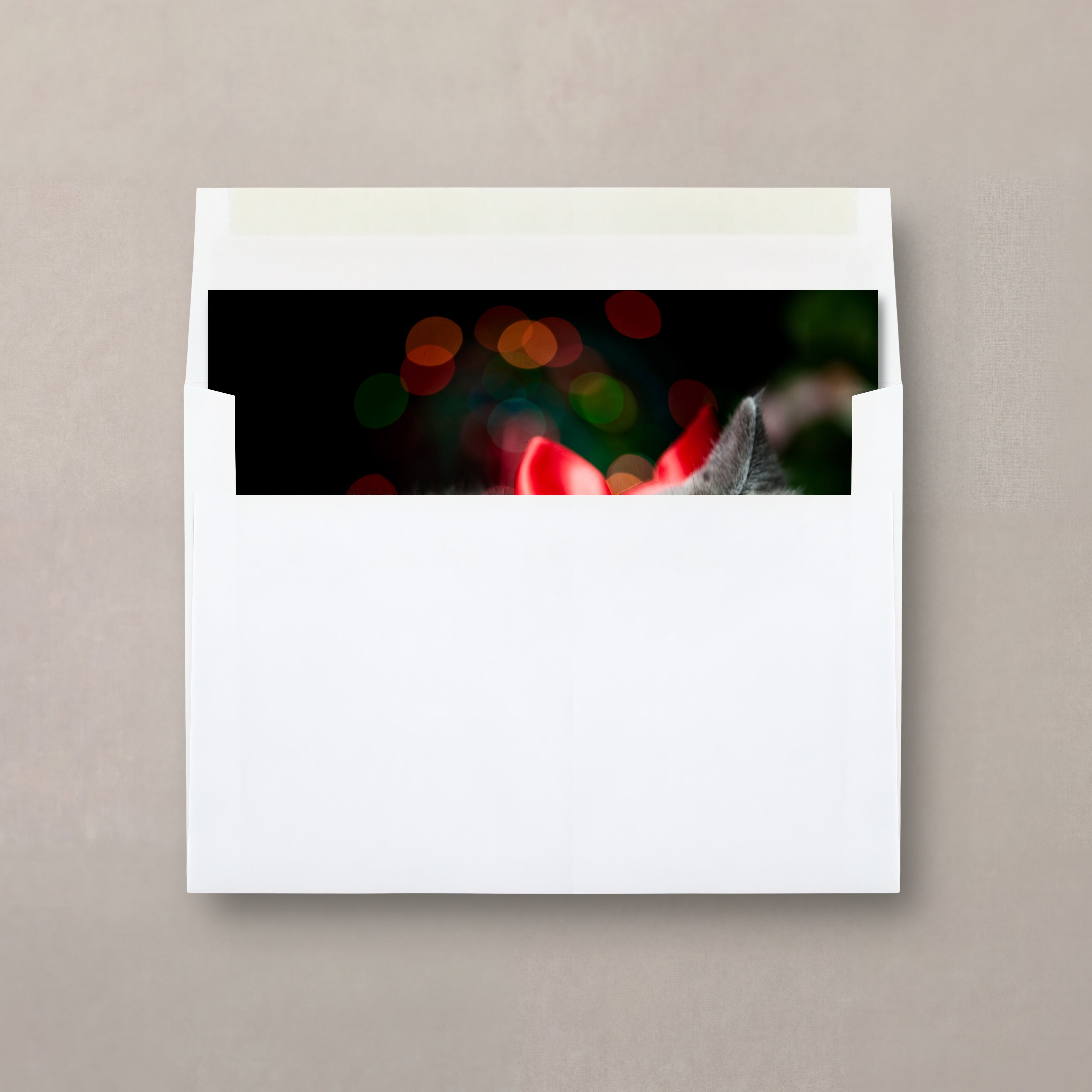 YC23496FC peeking
