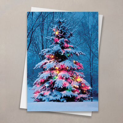 Lit Tree