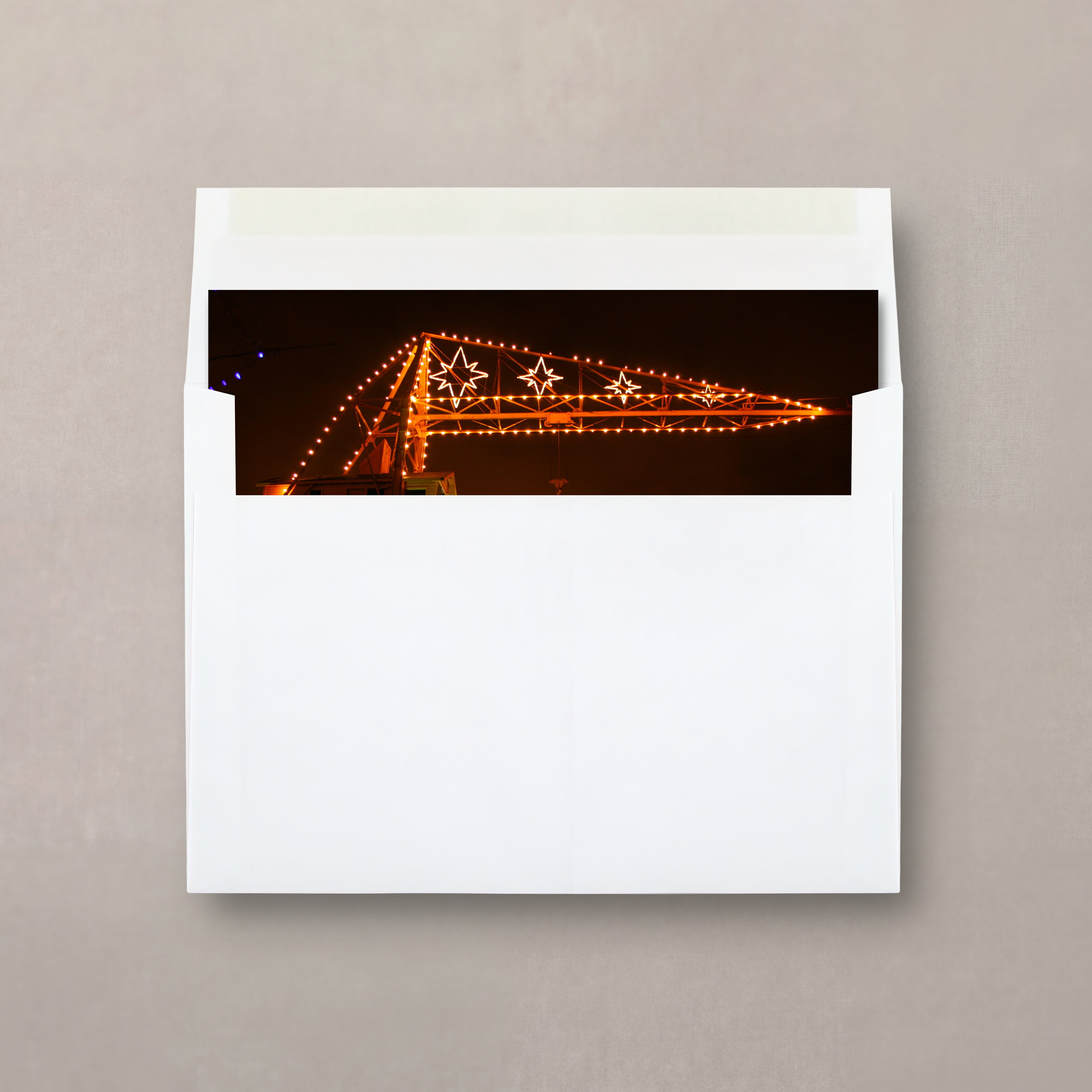 YM10236FC peeking
