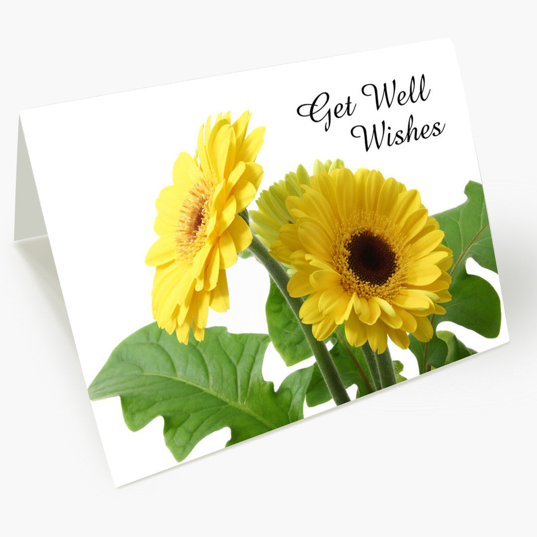 Yellow Daisy Get Well Card