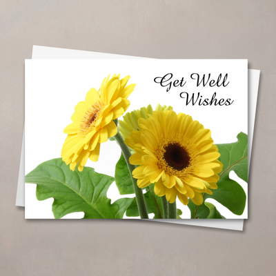 Yellow Daisy Get Well Card