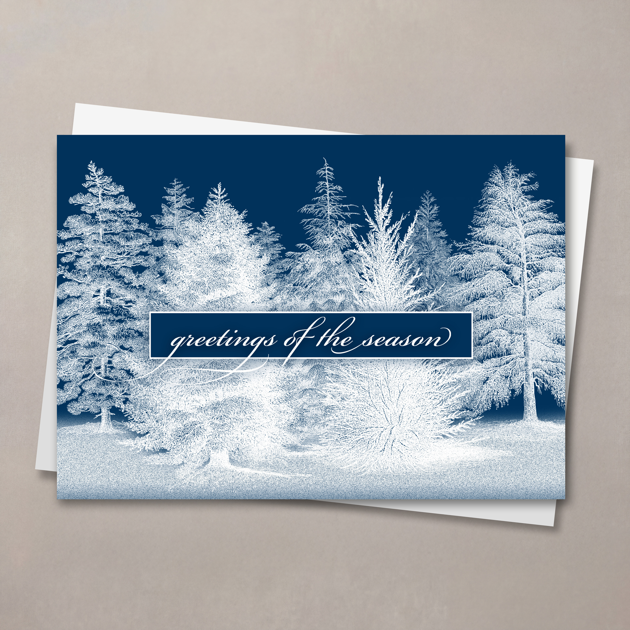 Snow Covered Forest