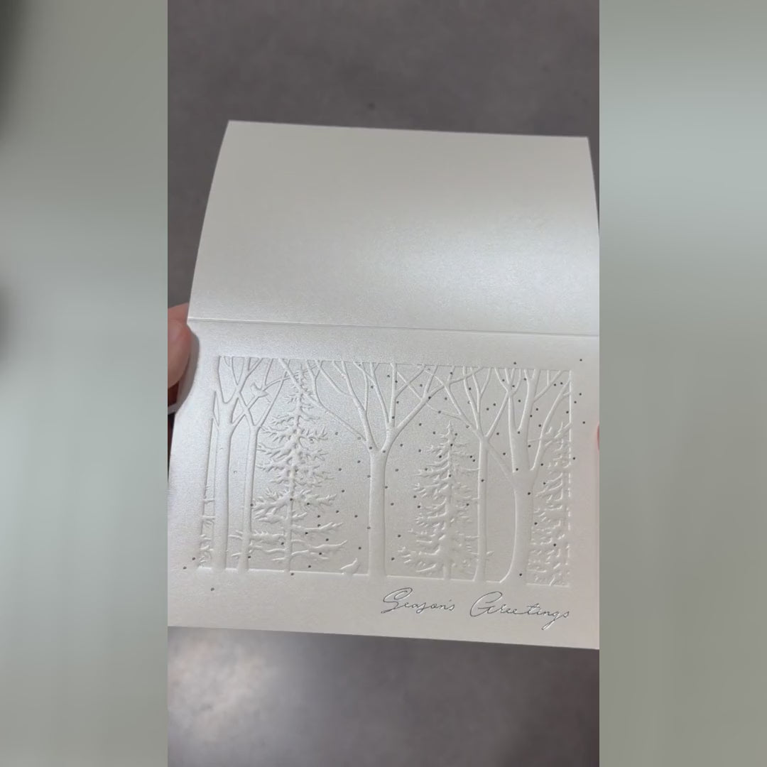 Load video: Shimmering Trees